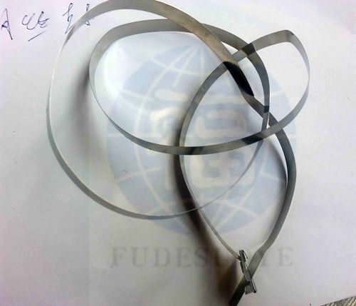 塑(su)料封條(tiao)鎖