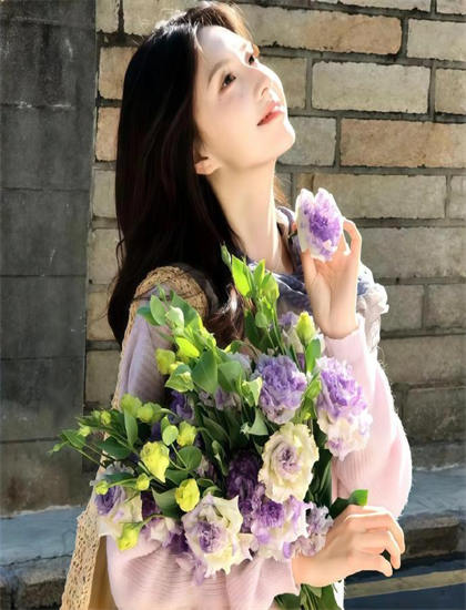 《少女梦》市场表现对比：票房成绩与口碑关系